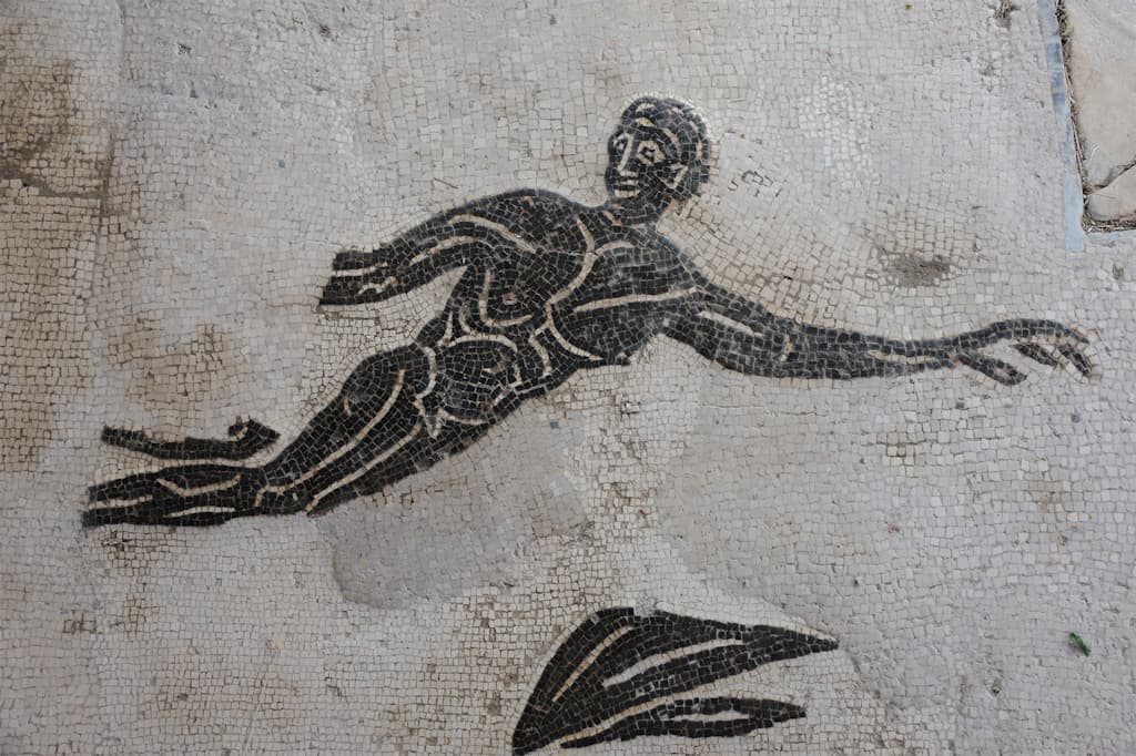 Swimming with Translators