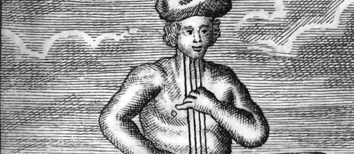 The Neo-Latin Novel