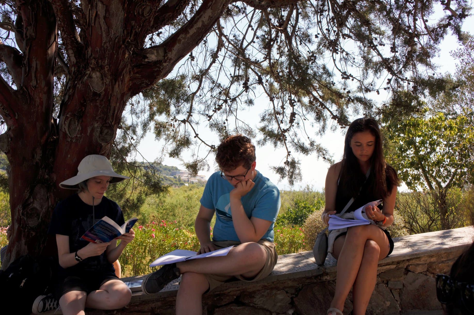 Translating in a patch of shade